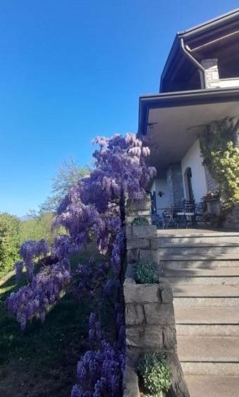 Cunardo Al Picchio Verde A.P.S. Bed & Breakfast エクステリア 写真